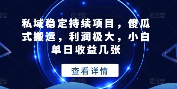 私域稳定持续项目，傻瓜式搬运，利润极大，小白单日收益几张【揭秘】-玖哥网创