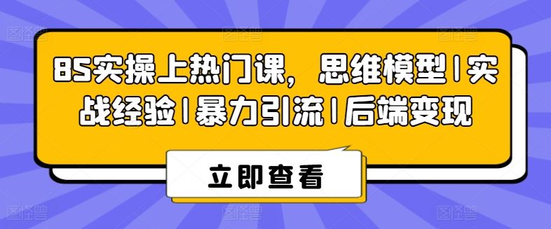 8S实操上热门课，思维模型|实战经验|暴力引流|后端变现-玖哥网创