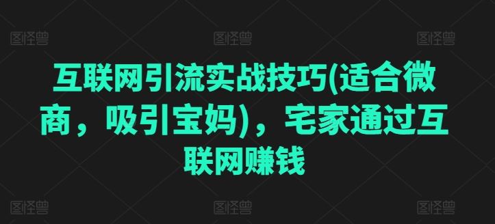 互联网引流实战技巧(适合微商，吸引宝妈)，宅家通过互联网赚钱-玖哥网创