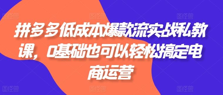 拼多多低成本爆款流实战私教课，0基础也可以轻松搞定电商运营-玖哥网创