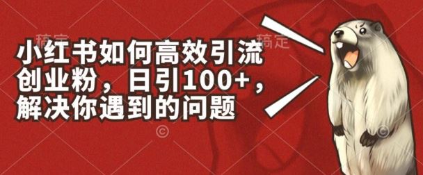 小红书如何高效引流创业粉，日引100+，解决你遇到的问题【揭秘】-玖哥网创