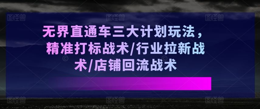 无界直通车三大计划玩法，精准打标战术/行业拉新战术/店铺回流战术-玖哥网创