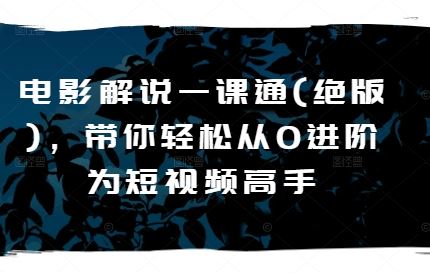 电影解说一课通(绝版)，带你轻松从0进阶为短视频高手-玖哥网创