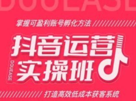 抖音运营实操班，掌握可盈利账号孵化方法，打造高效低成本获客系统-玖哥网创