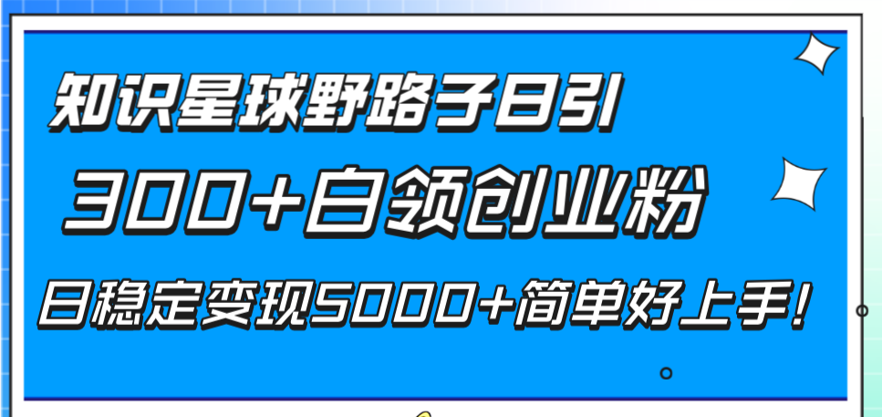 （8315期）知识星球野路子日引300+白领创业粉，日稳定变现5000+简单好上手！-玖哥网创