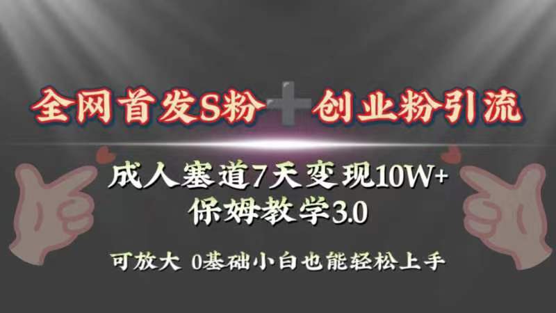 （8337期）全网首发s粉加创业粉引流变现，成人用品赛道7天变现10w+保姆教学3.0-玖哥网创