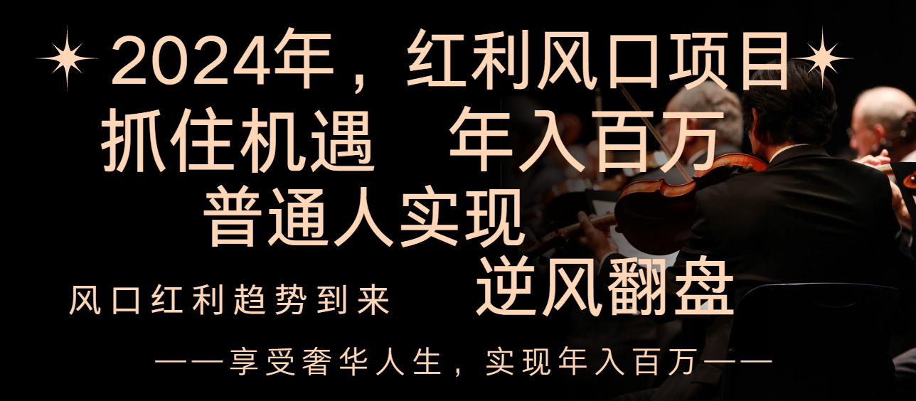 （8418期）2024红利风口项目来袭，享受第一波红利，逆风翻盘普通人也能实现，年入百万-玖哥网创