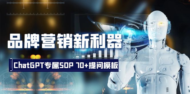 （8403期）品牌营销新利器：ChatGPT专属SOP，70+提问模板-玖哥网创