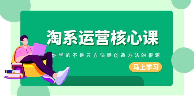 （8392期）淘系-运营核心课，你学的不是只方法是创造方法的根源（190节课）-玖哥网创