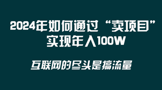 （8382期） 2024年如何通过“卖项目”实现年入100W-玖哥网创