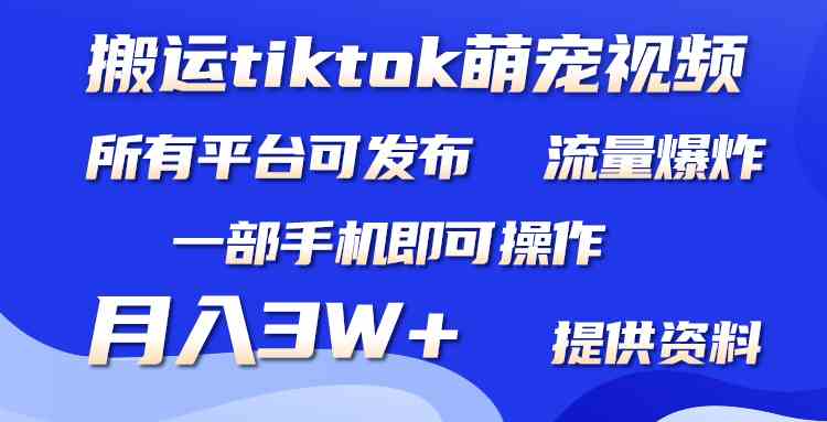 （9618期）搬运Tiktok萌宠类视频，一部手机即可。所有短视频平台均可操作，月入3W+-玖哥网创