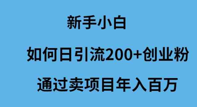 （9668期）新手小白如何日引流200+创业粉通过卖项目年入百万-玖哥网创