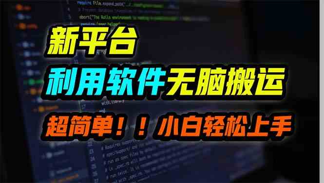 （9745期）新平台用软件无脑搬运，月赚10000+，小白也能轻松上手-玖哥网创