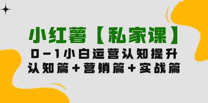 （9910期）小红薯【私家课】0-1玩赚小红书内容营销，认知篇+营销篇+实战篇（11节课）-玖哥网创