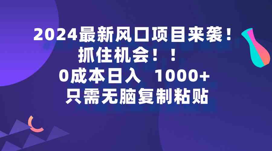 （9899期）2024最新风口项目来袭，抓住机会，0成本一部手机日入1000+，只需无脑复…-玖哥网创