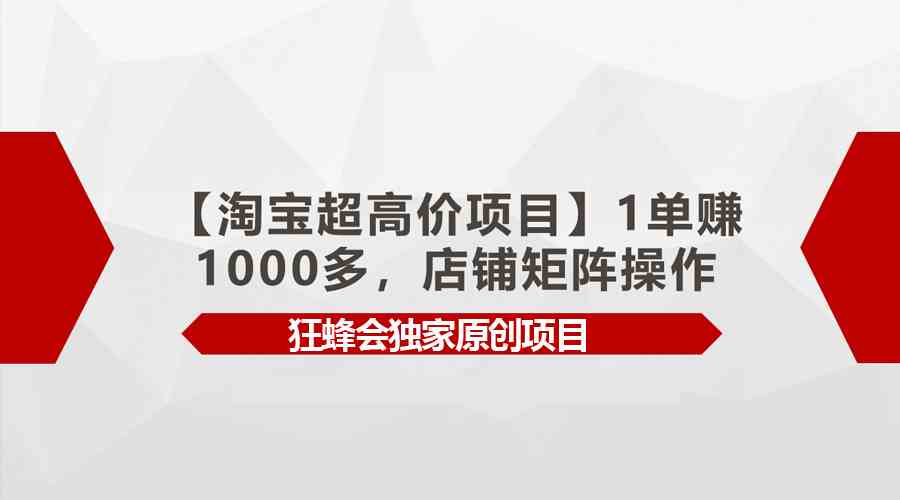 （9849期）【淘宝超高价项目】1单赚1000多，店铺矩阵操作-玖哥网创