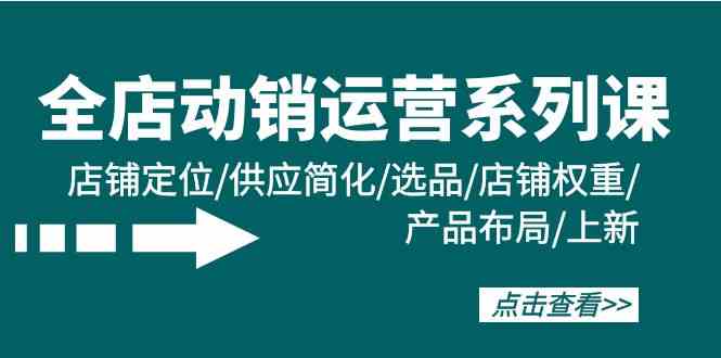 （9845期）全店·动销运营系列课：店铺定位/供应简化/选品/店铺权重/产品布局/上新-玖哥网创