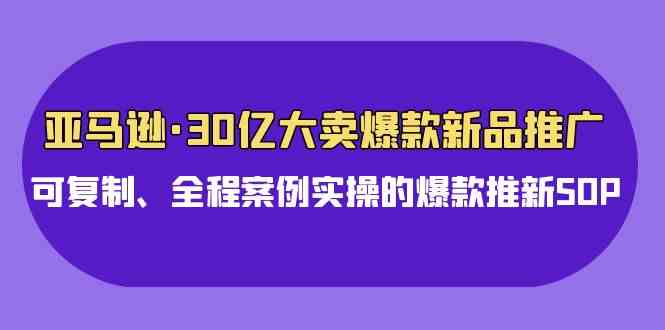 （9944期）亚马逊30亿·大卖爆款新品推广，可复制、全程案例实操的爆款推新SOP-玖哥网创