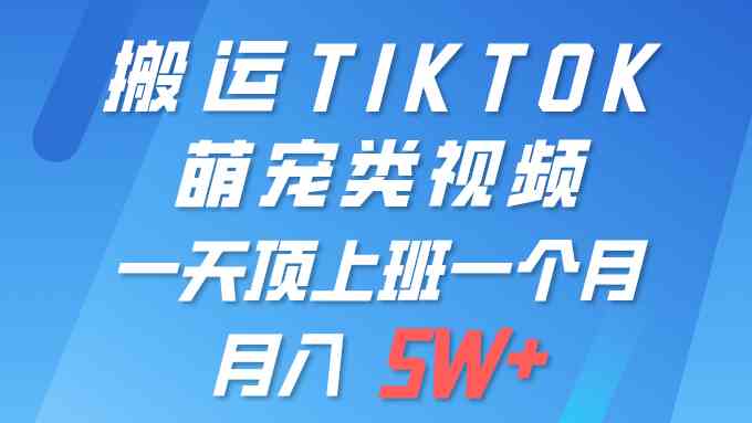 （9931期）一键搬运TIKTOK萌宠类视频 一部手机即可操作 所有平台均可发布 轻松月入5W+-玖哥网创