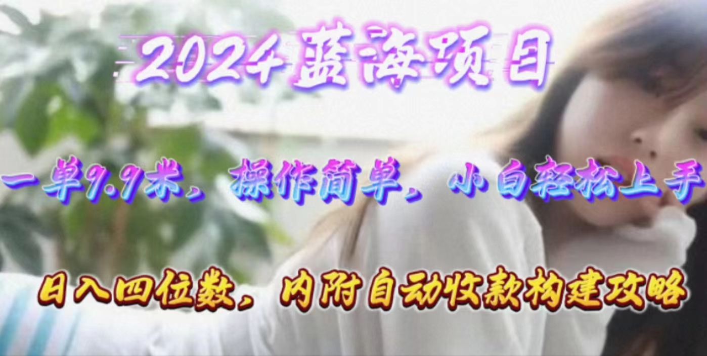 （10204期）年轻群体的蓝海市场，1单9.9元，操作简单，小白轻松上手，日入四位数-玖哥网创