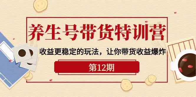 （10110期）养生号带货特训营【12期】收益更稳定的玩法，让你带货收益爆炸-9节直播课-玖哥网创