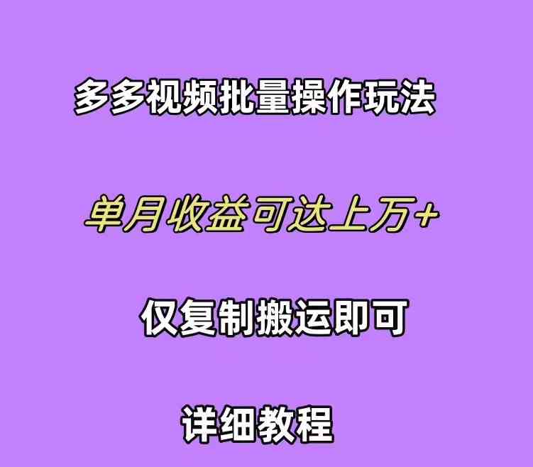 （10029期）拼多多视频带货快速过爆款选品教程 每天轻轻松松赚取三位数佣金 小白必…-玖哥网创