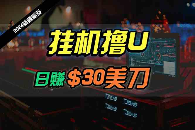 （10013期）日赚30美刀，2024最新海外挂机撸U内部项目，全程无人值守，可批量放大-玖哥网创