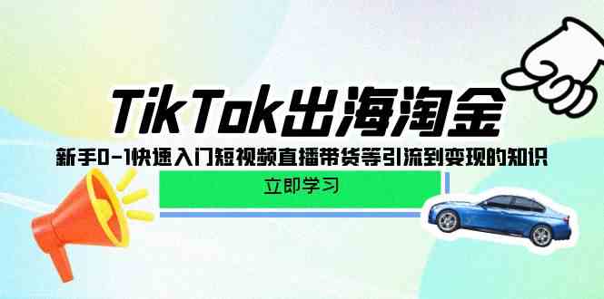 （10035期）TikTok-出海淘金，新手0-1快速入门短视频直播带货等引流到变现的知识-玖哥网创