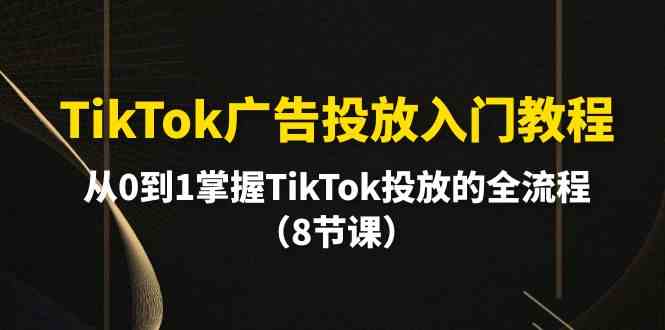 （10085期）TikTok广告投放入门教程，从0到1掌握TikTok投放的全流程（8节课）-玖哥网创