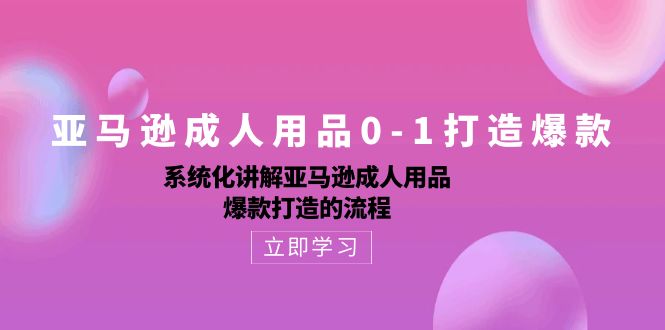 （10493期）亚马逊成人用品0-1打造爆款：系统化讲解亚马逊成人用品爆款打造的流程-玖哥网创