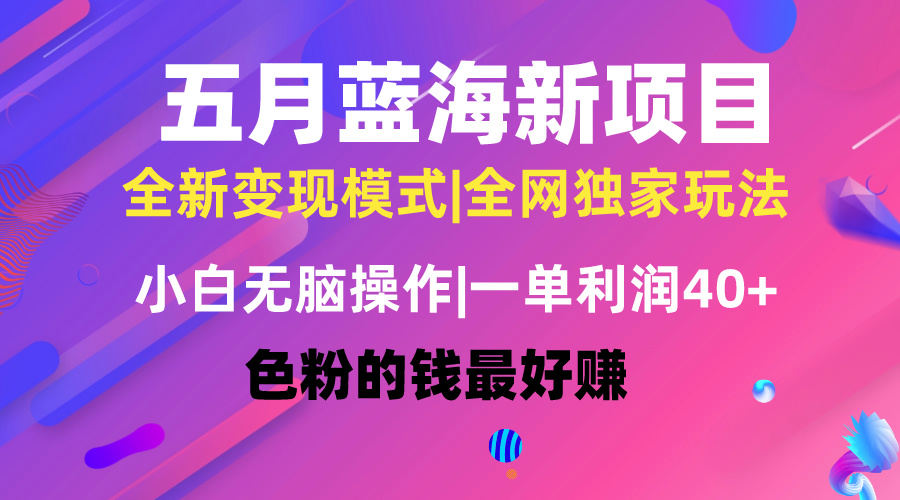 （10477期）五月蓝海项目全新玩法，小白无脑操作，一天几分钟，矩阵操作，月入4万+-玖哥网创