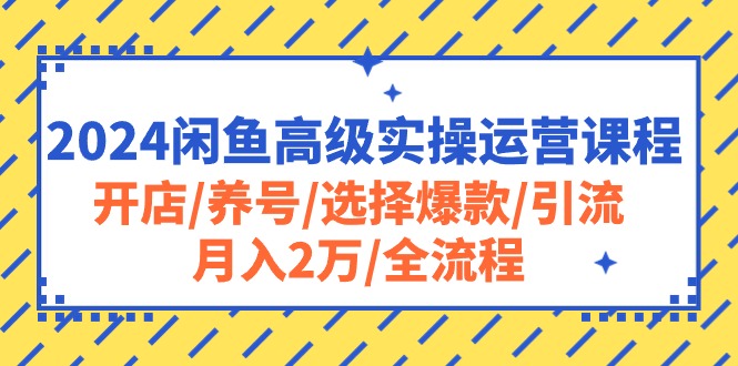 （10711期）2024闲鱼高级实操运营课程：开店/养号/选择爆款/引流/月入2万/全流程-玖哥网创