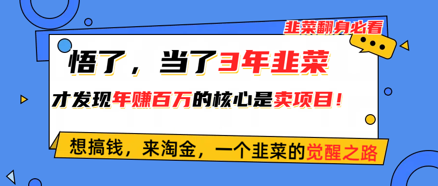 （10759期）悟了，当了3年韭菜，才发现网赚圈年赚100万的核心是卖项目，含泪分享！-玖哥网创