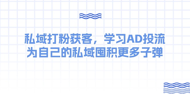 （10728期）某收费课：私域打粉获客，学习AD投流，为自己的私域囤积更多子弹-玖哥网创