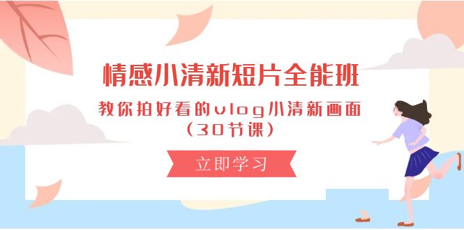 （10567期）情感 小清新短片-全能班，教你拍好看的vlog小清新画面 (30节课)-玖哥网创
