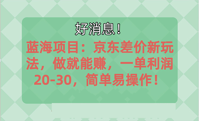 （10989期）越早知道越能赚到钱的蓝海项目：京东大平台操作，一单利润20-30，简单…-玖哥网创