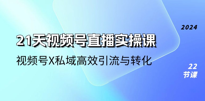 （10966期）21天-视频号直播实操课，视频号X私域高效引流与转化（22节课）-玖哥网创
