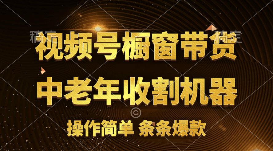 （11009期）[你的孩子成功取得高位]视频号最火爆赛道，橱窗带货，流量分成计划，条…-玖哥网创