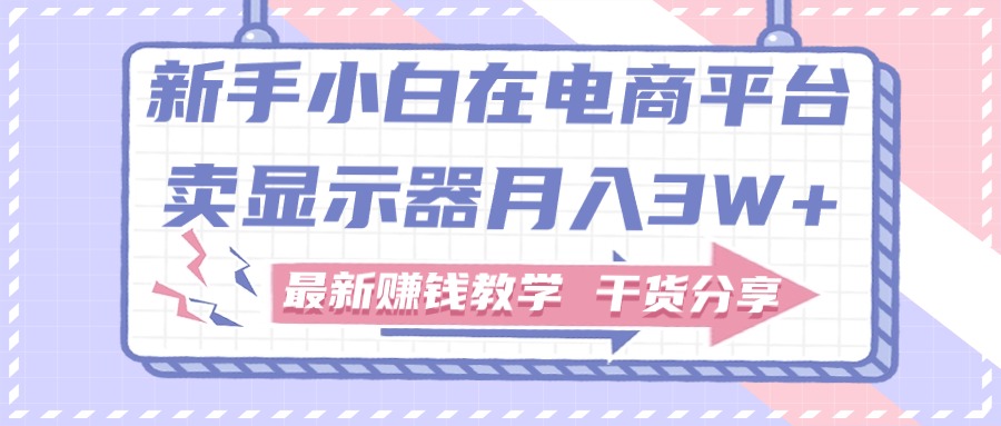 （11053期）新手小白如何做到在电商平台卖显示器月入3W+，最新赚钱教学干货分享-玖哥网创