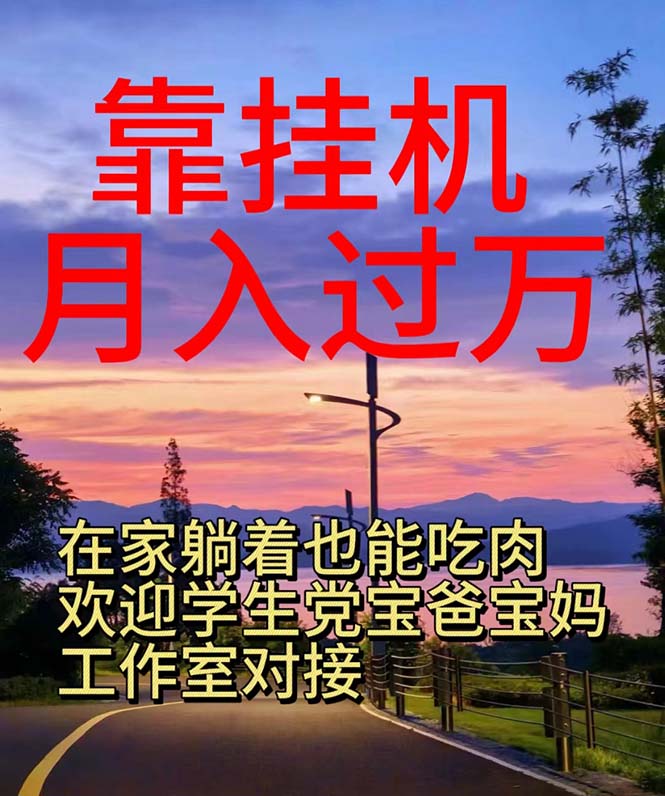 （10838期）靠挂机，日入1000+，躺着也能吃肉，适合宝爸宝妈学生党工作室，电脑手…-玖哥网创