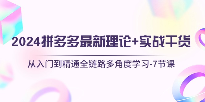（10816期）2024拼多多 最新理论+实战干货，从入门到精通全链路多角度学习-7节课-玖哥网创