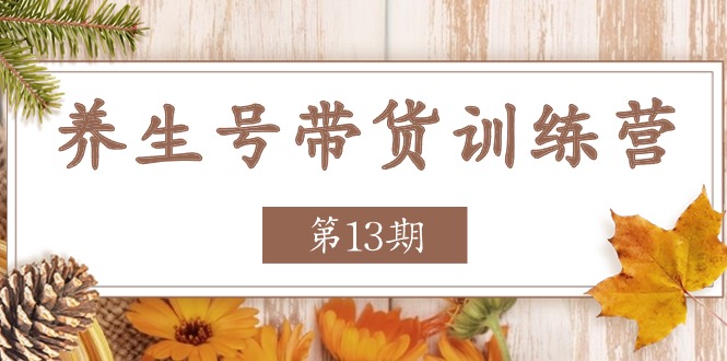 （11275期）养生号-带货训练营【第13期】收益更稳定的玩法，让你带货收益爆炸-玖哥网创