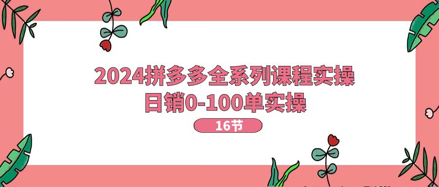 （11222期）2024拼多多全系列课程实操，日销0-100单实操【16节课】-玖哥网创