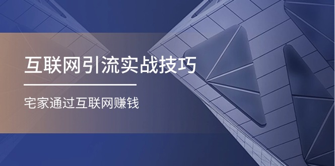 （11108期）互联网引流实操技巧(适合微商，吸引宝妈)，宅家通过互联网赚钱（17节）-玖哥网创