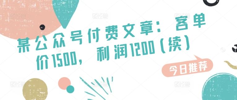 某公众号付费文章：客单价1500，利润1200(续)，市场几乎可以说是空白的-玖哥网创