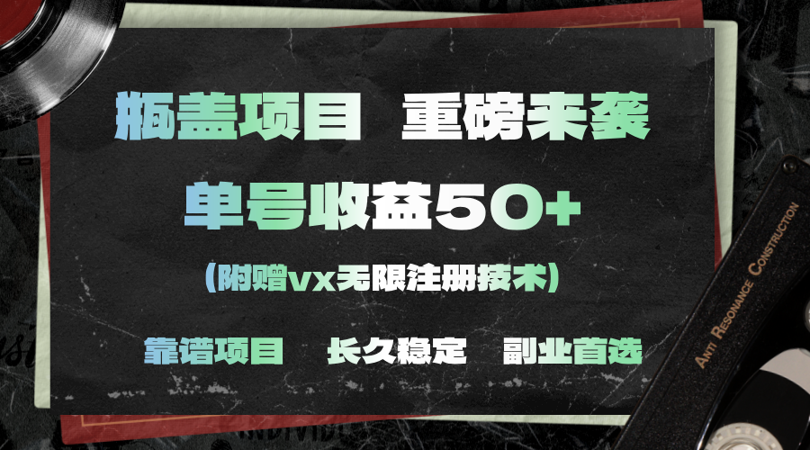 （11381期）一分钟一单，一单利润30+，适合小白操作-玖哥网创