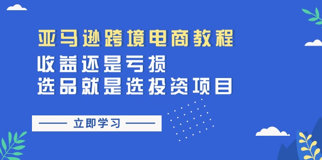 （11432期）亚马逊跨境电商教程：收益还是亏损！选品就是选投资项目-玖哥网创