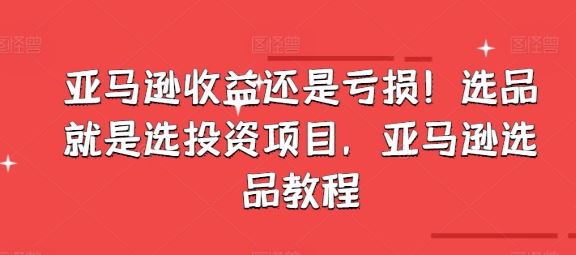 亚马逊收益还是亏损！选品就是选投资项目，亚马逊选品教程-玖哥网创