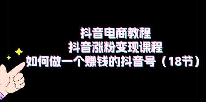 抖音电商教程：抖音涨粉变现课程：如何做一个赚钱的抖音号（18节）-玖哥网创