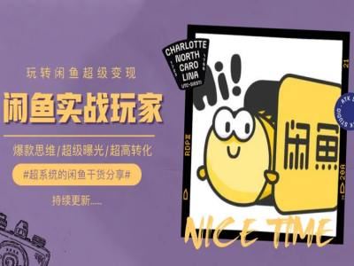 手把手教你0到1系统玩转闲鱼变现，爆款思维/超级曝光/超高转化-玖哥网创